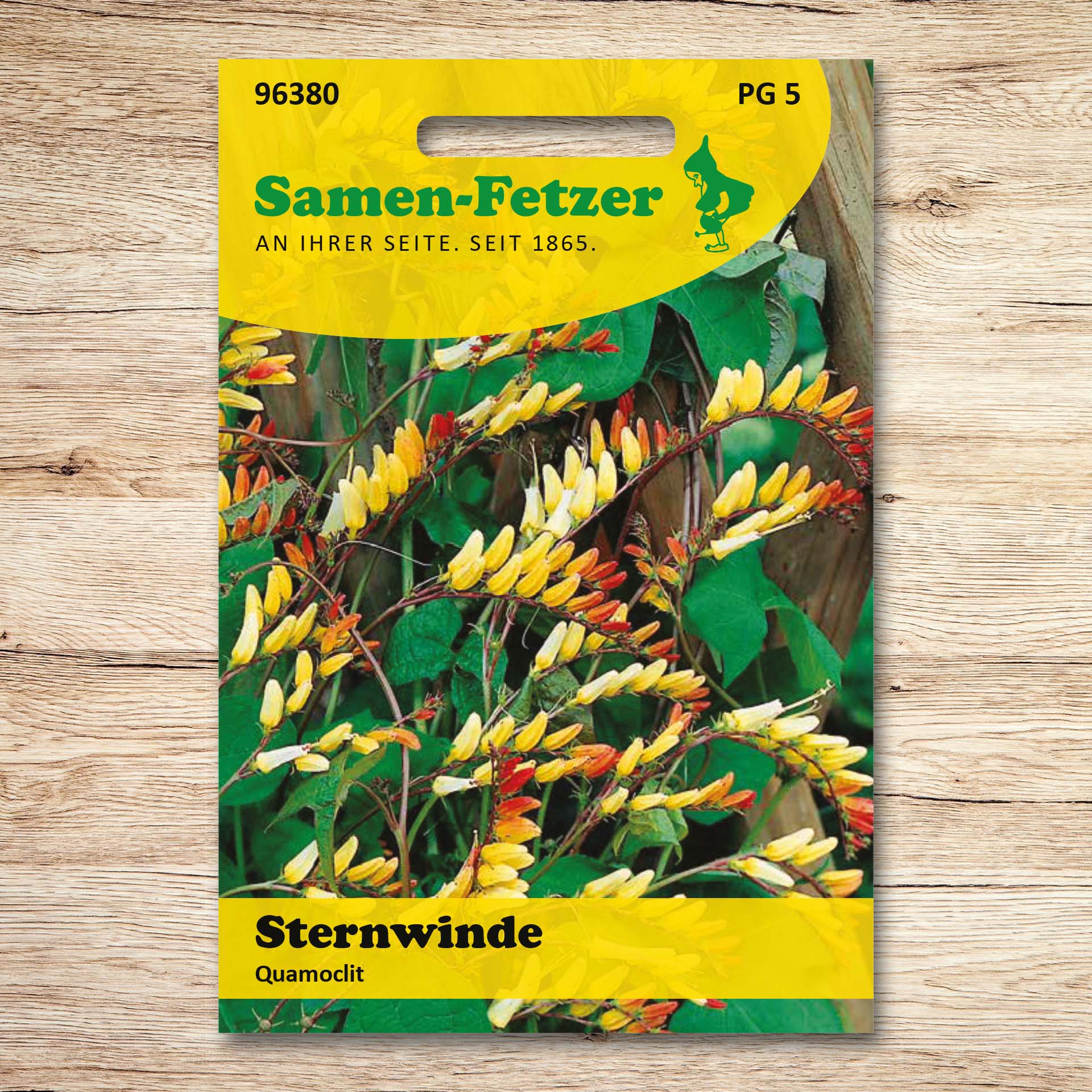 Sternwinde Feuerzunge Quamoclit Mina lobata