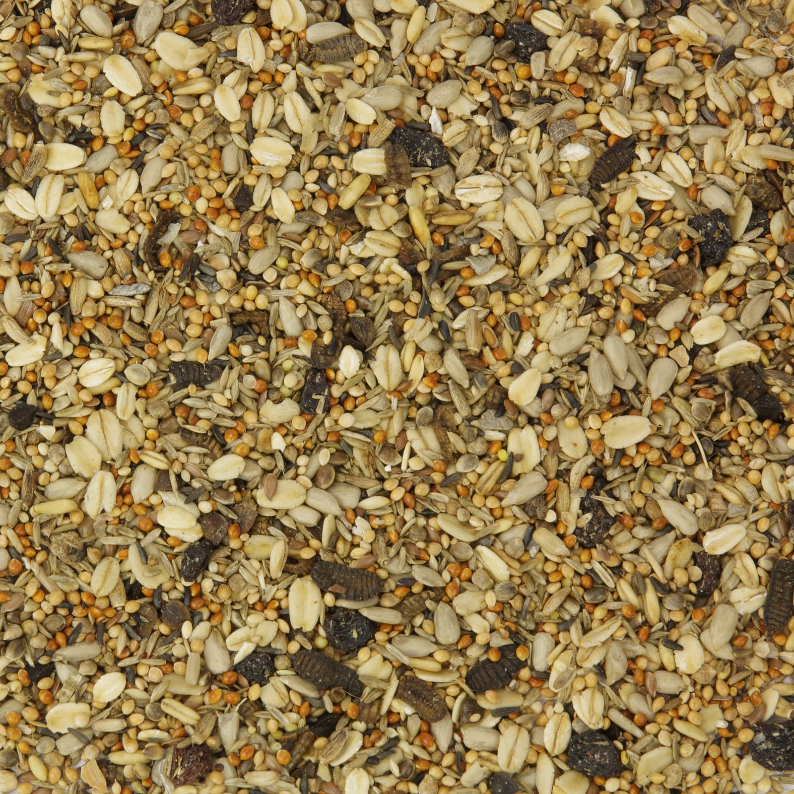 Nahaufnahme einer bunten Vogelfutter-Körnermischung mit Sonnenblumenkernen, Hirse, Haferflocken und weiteren Samen