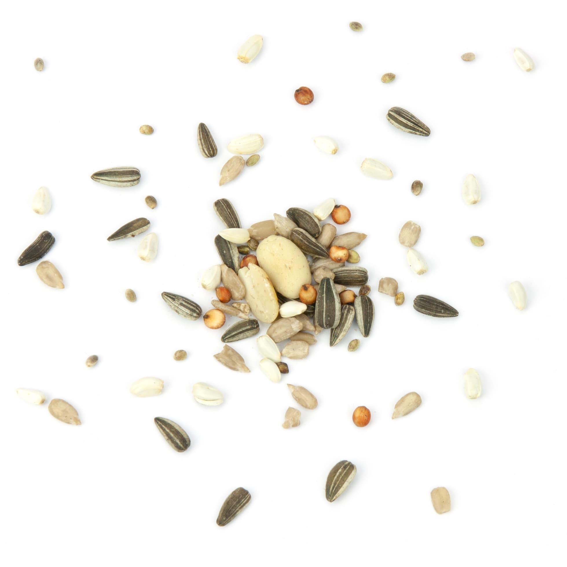 98762_Meisen Müsli-MCV111-Meisenfutter Nahaufnahme einer gemischten Vogelfuttermischung mit ungeschälten und geschälten Sonnenblumenkernen, Erdnussstücken, Hirse- und weiteren Saaten auf weißem Hintergrund