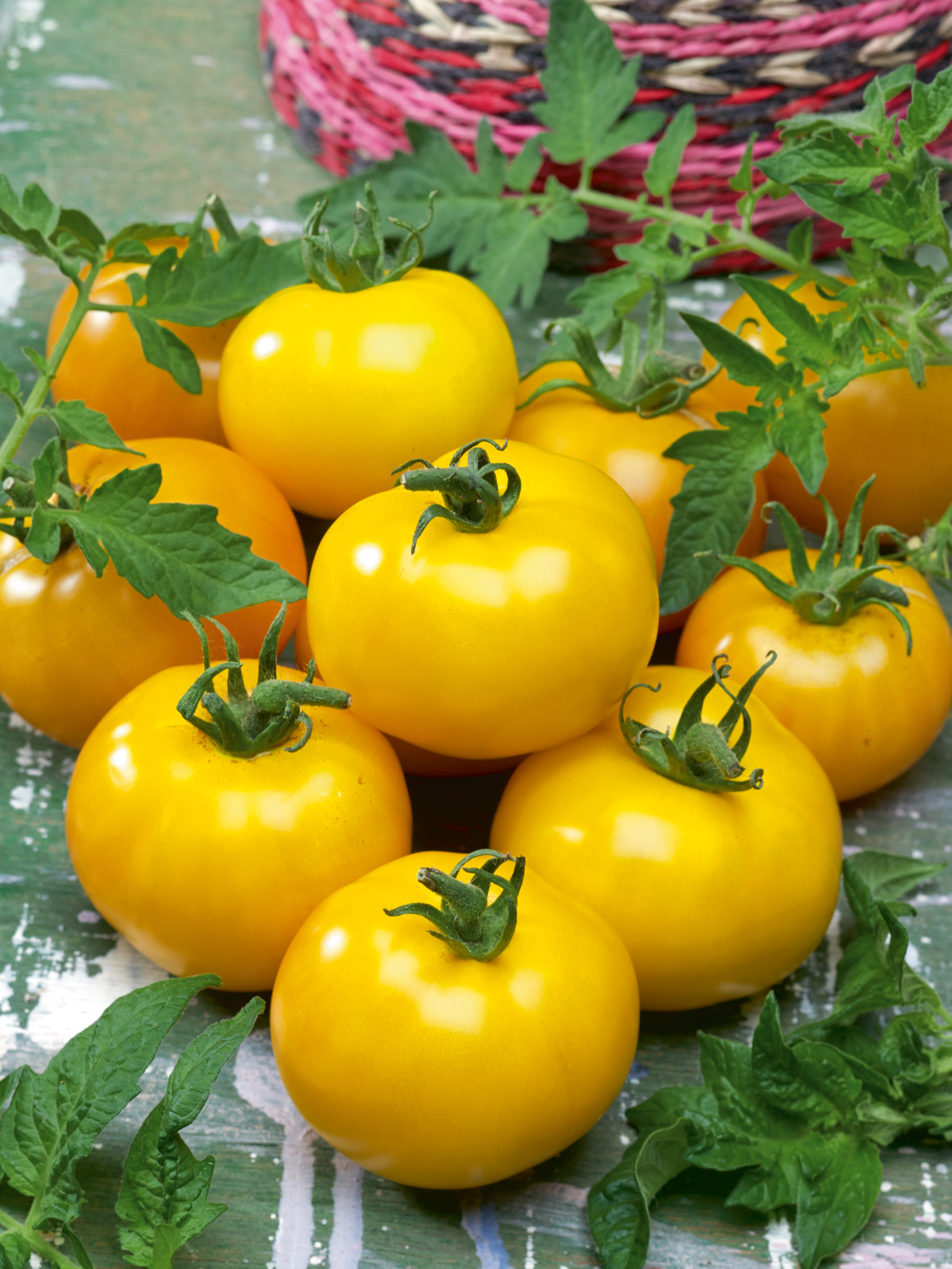 Mehrere reife gelbe Tomaten mit grünen Kelchblättern und Tomatenblättern auf einem rustikalen Holzuntergrund, geflochtener Korb im Hintergrund