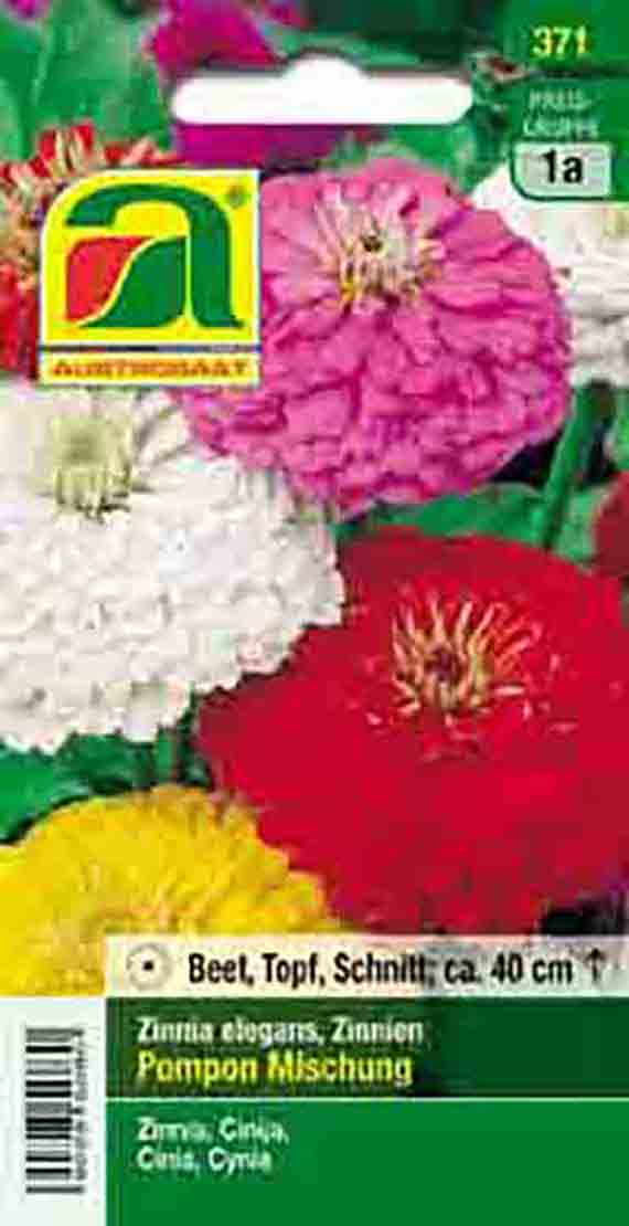 Saatgut: Zinnia elegans 'Pompon Mischung' mit bunten Pompon-Zinnien in Weiß, Rosa, Rot und Gelb, Wuchshöhe ca. 40 cm