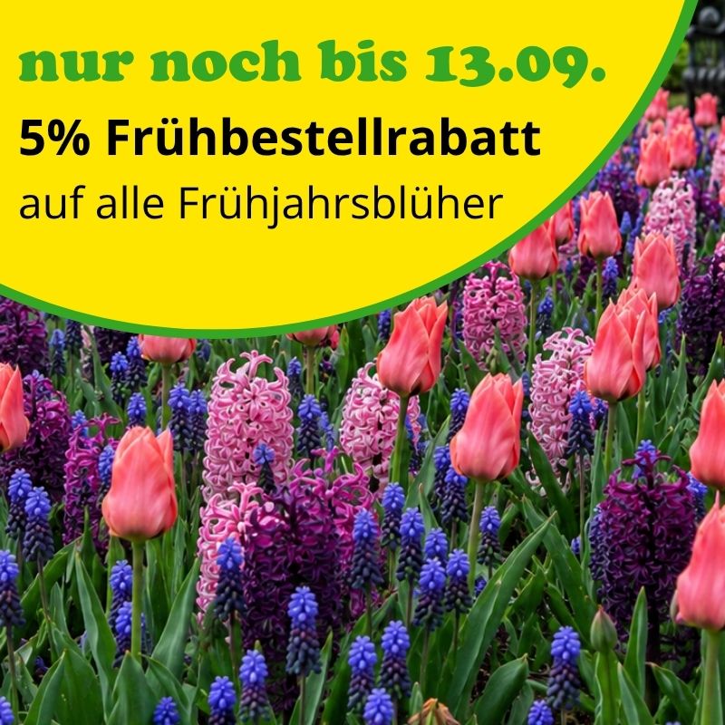 5% Rabatt auf alle Frühjahrsblüher