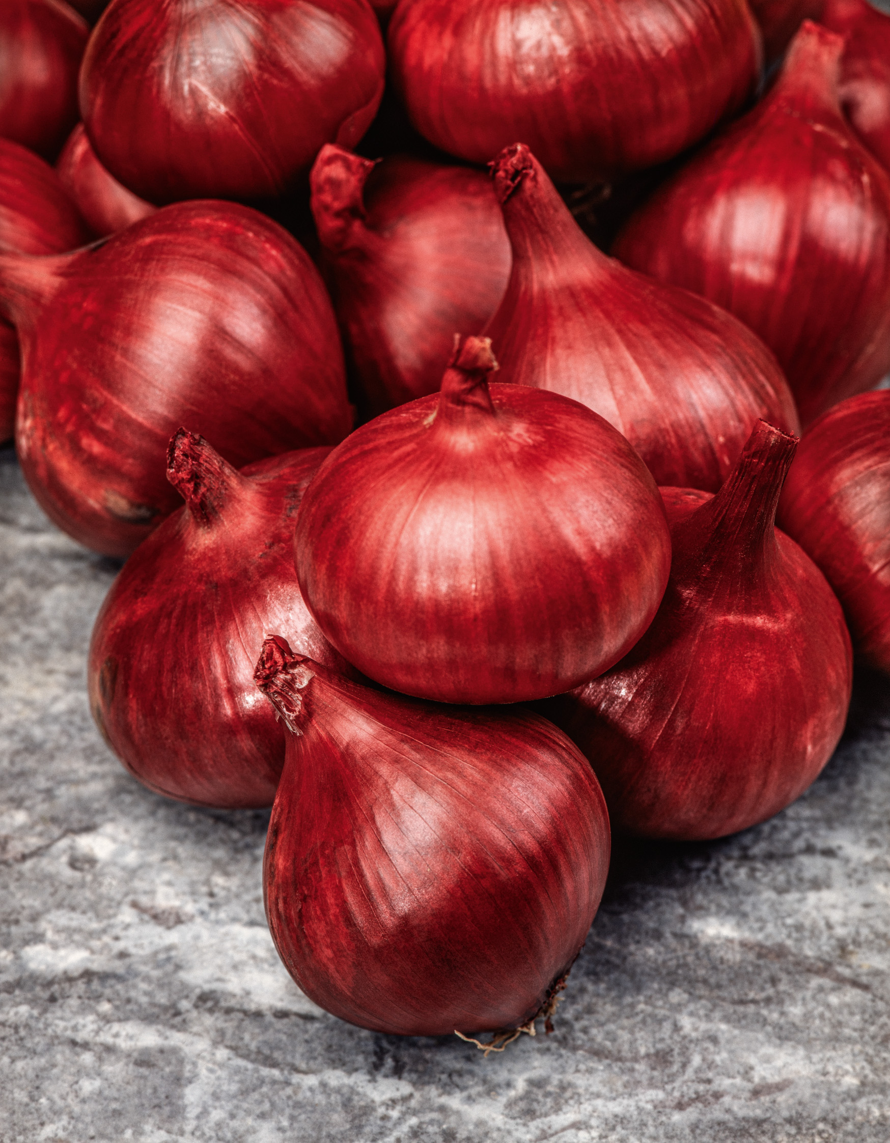 Steckzwiebeln Piroska, rot