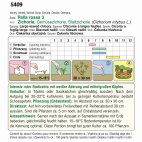 Verpacktes 6-teiliges Rankhilfe-Set aus Kunststoff mit flexiblen Stäben und Pflanzenclips zur Befestigung von Tomaten und Kletterpflanzen; Produktabbildung zeigt Verpackung und Inhalt