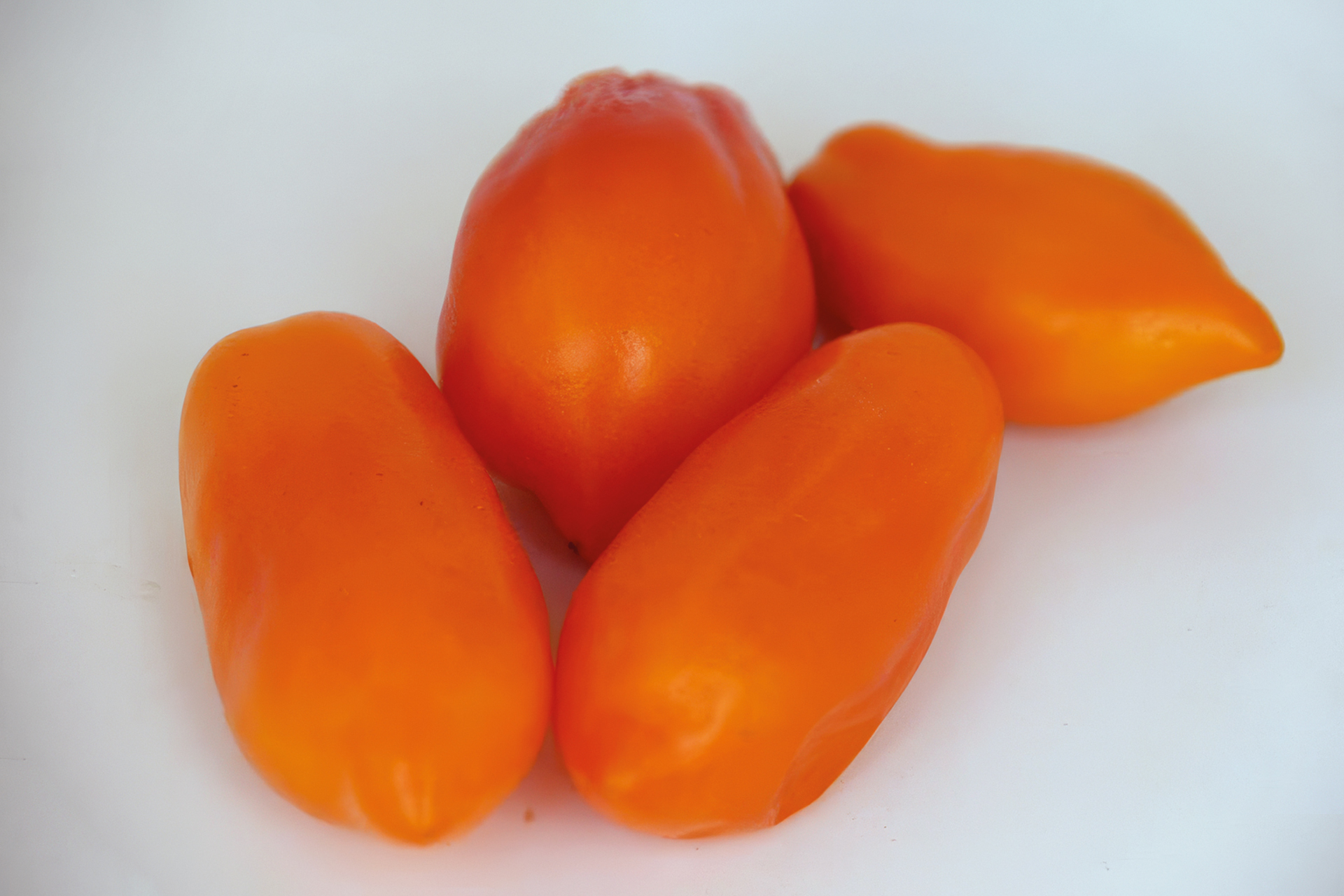 Tomate Banana Legs