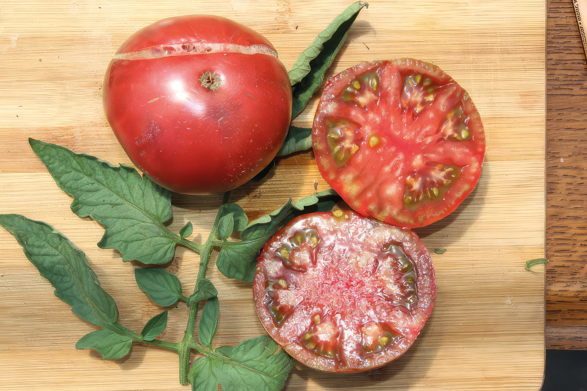 Fleischtomate Lila Sari
