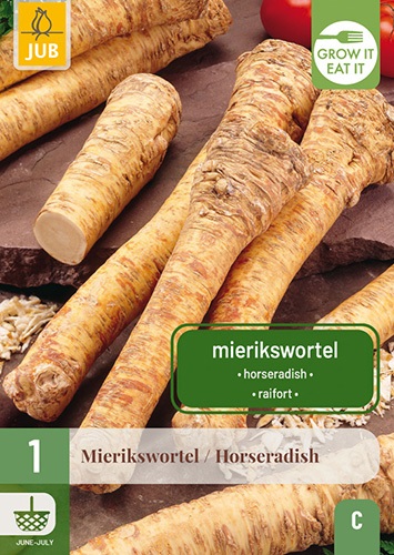 Meerrettich