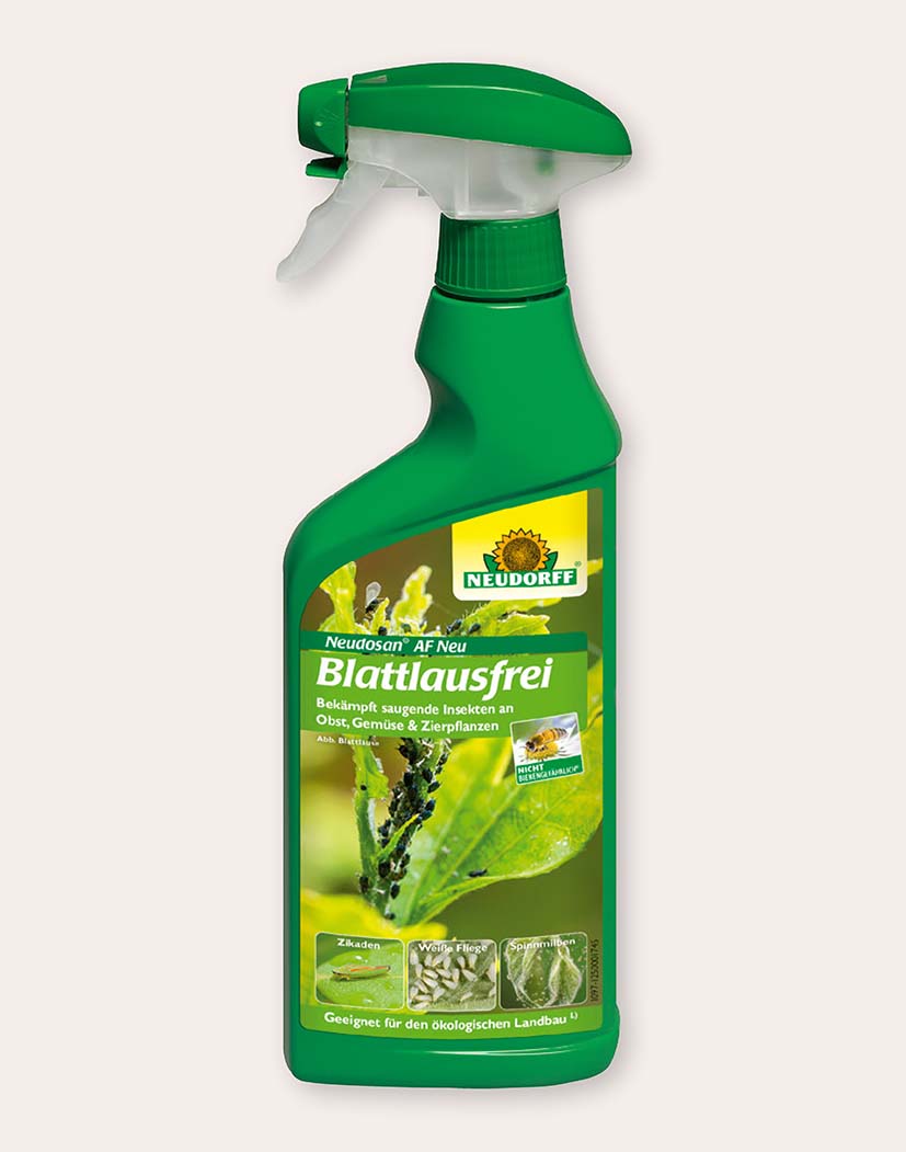 Grüne Neudorff Sprühflasche Blattlausfrei mit Etikettbild eines befallenen Blattes, Pflanzenschutzmittel gegen saugende Insekten an Obst, Gemüse und Zierpflanzen