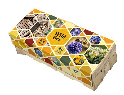 Wild Bee Hotel Rechteckige Holz-Geschenkbox mit farbigem sechseckigem Mosaik, Schriftzug 'Wild Bee' und Fotos von Bienen sowie Blüten; Verpackung für 60 Wildblumen-Samen