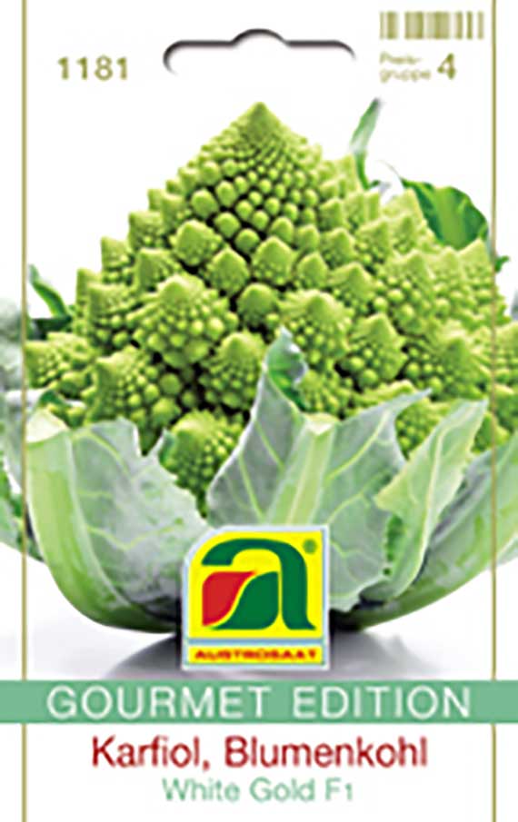 Samen-Tütchen 'Gourmet Edition' Karfiol/Blumenkohl White Gold F1 mit Foto eines grünen Romanesco-Kopfes