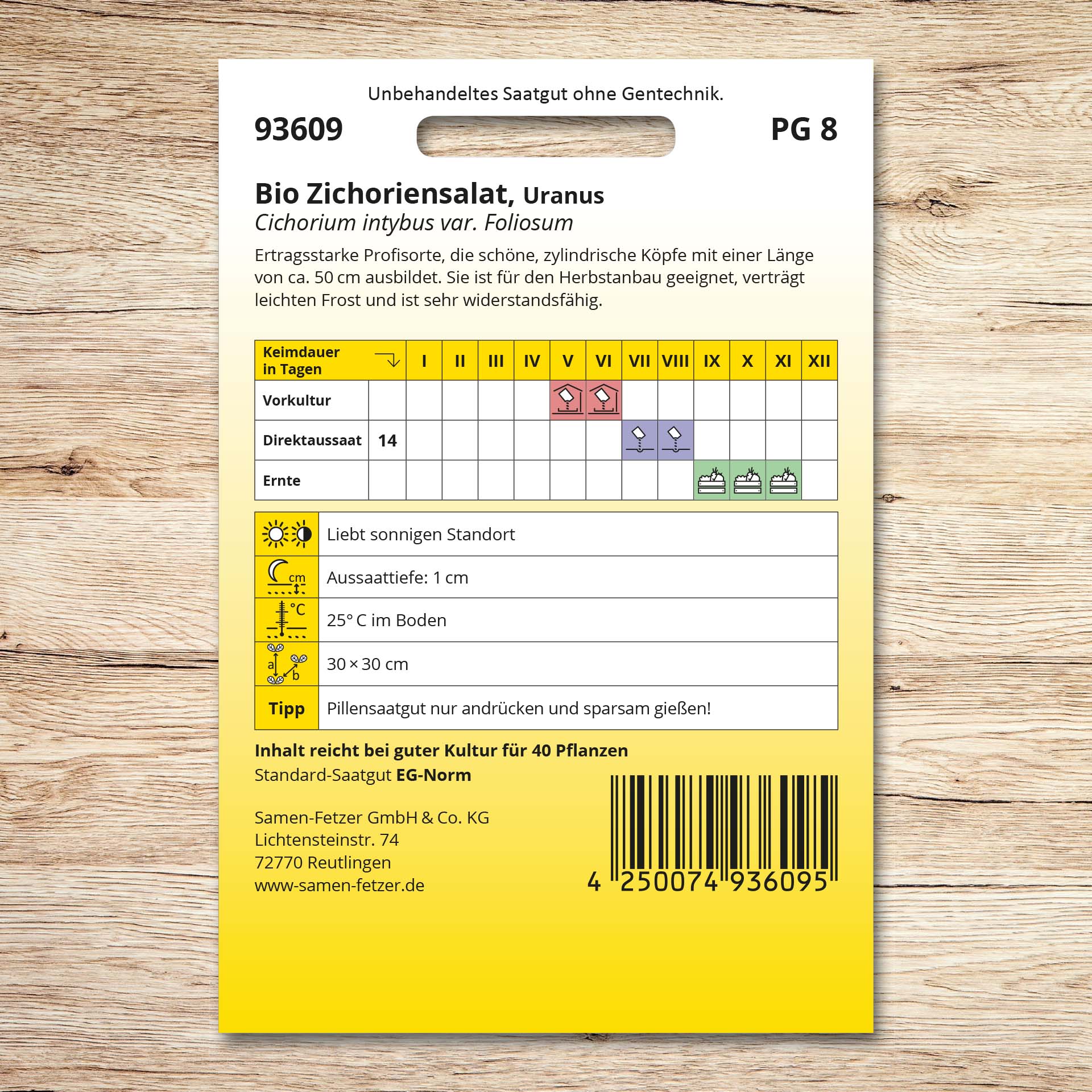 Rückseite der Saatgutpackung Zichoriensalat Bio Uranus von Samen-Fetzer mit Aussaat- und Erntekalender, Profisorte für Herbstanbau, große zylindrische Köpfe, frostverträglich.