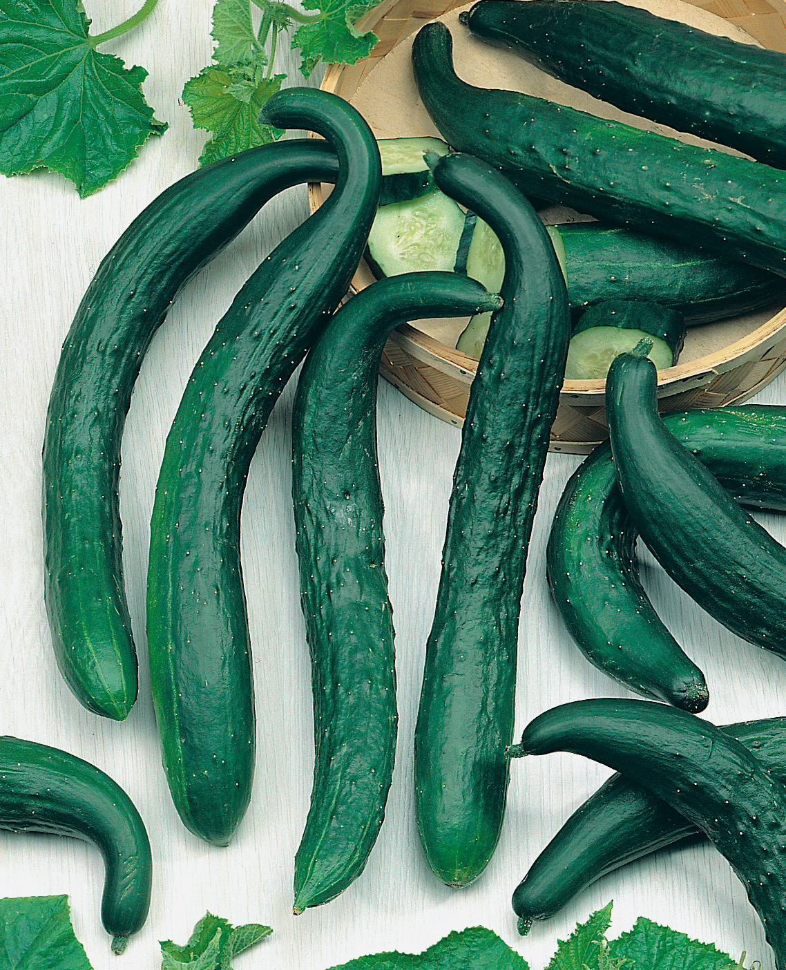 Freilandgurken Chinese Slangen (Chinesische Schlangen)