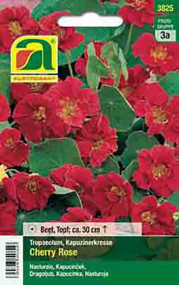 3825 Saatgut-Tütchen mit roten Kapuzinerkresse-Blüten (Tropaeolum, Sorte 'Cherry Rose'), geeignet für Beet und Topf, Wuchshöhe ca. 30 cm