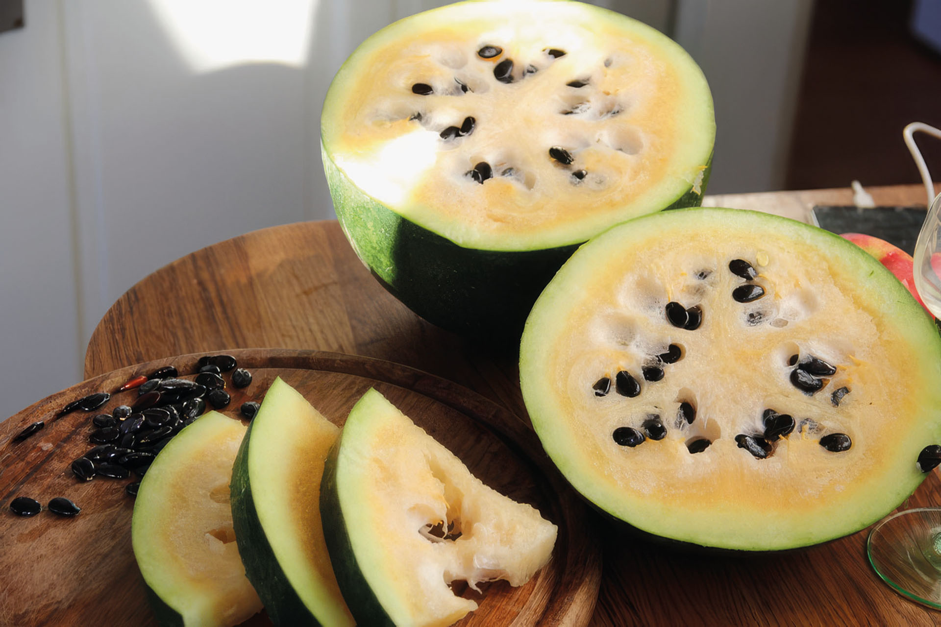 Wassermelone Cekirdegi Oyali