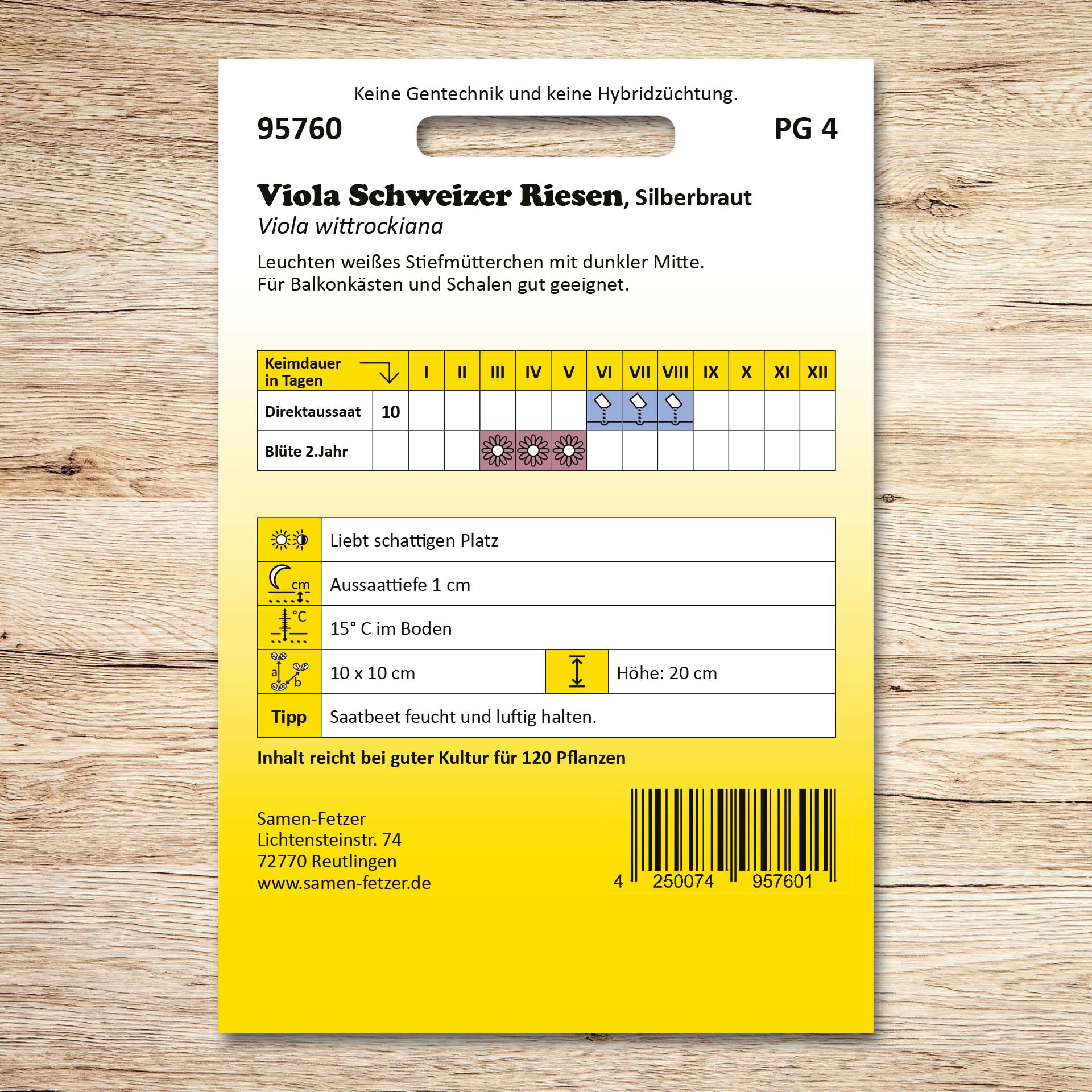 Stiefmütterchen Silberbraut