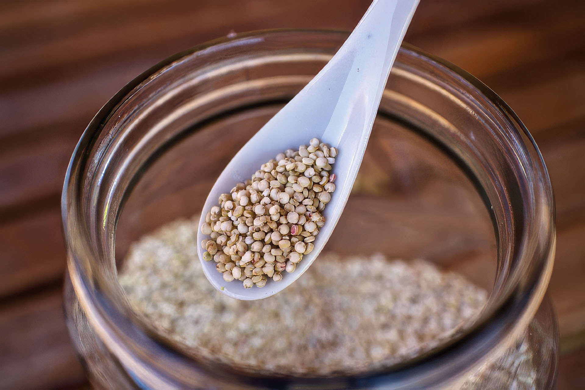 Quinoa