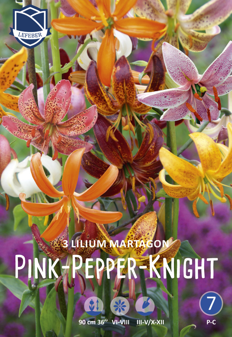 Lilium martagon Mix Pink-Pepper-Knight