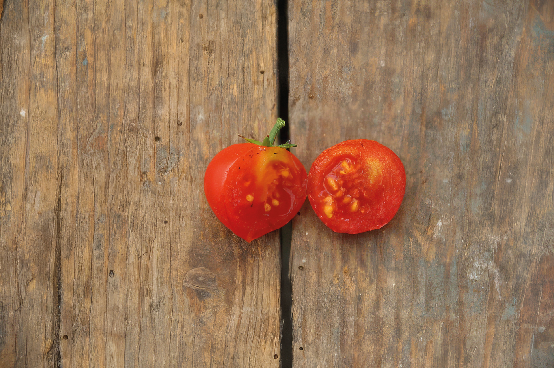 Balkontomate Dreikäsehoch