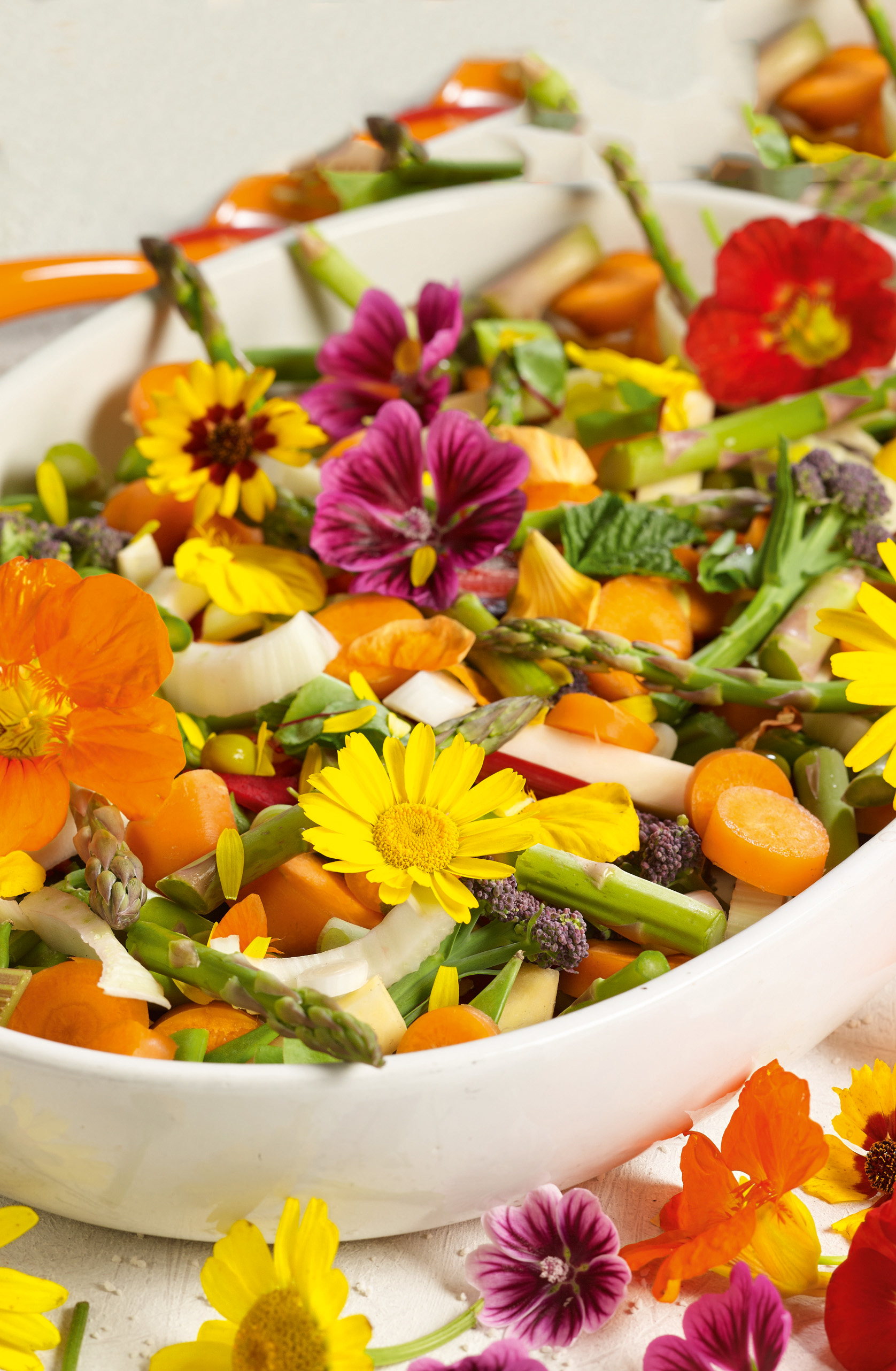 Nahaufnahme eines bunten Salats in weißer Schale mit essbaren Blüten, grünem Spargel, Karottenscheiben, Zwiebelringen und frischen Kräutern