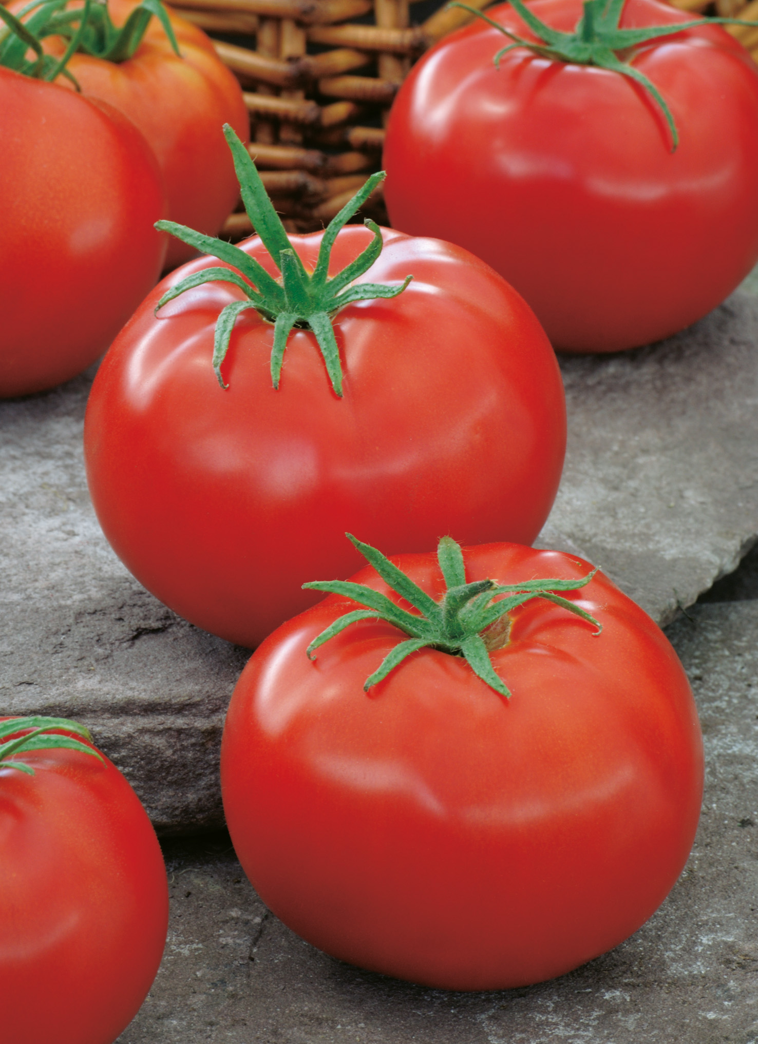 Nahaufnahme mehrerer reifer, glänzender roter Tomaten mit grünen Stielen auf einer Steinfläche, im Hintergrund ein Weidenkorb.