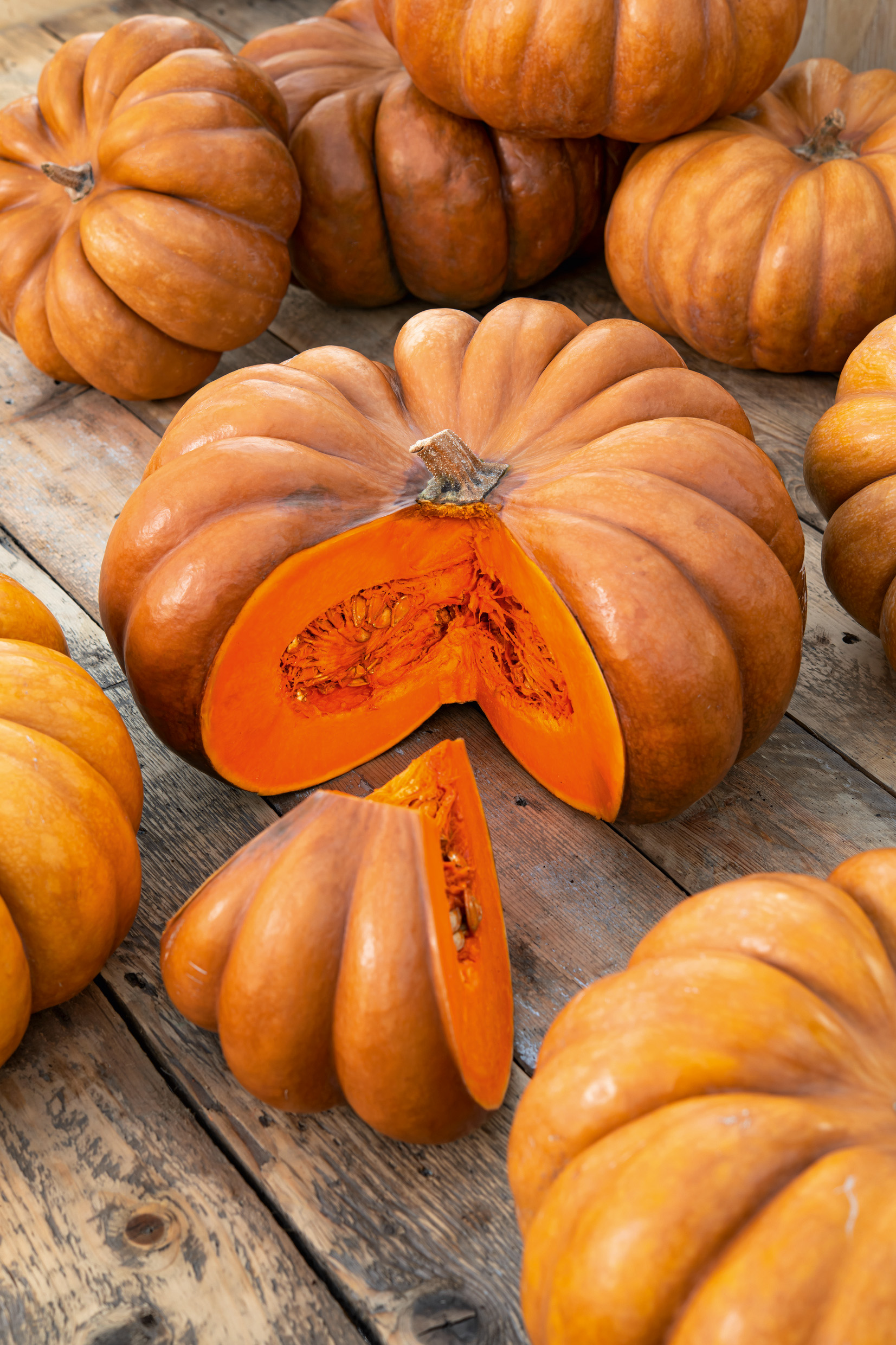 Speisekürbis (Bio) Muscat de Provence