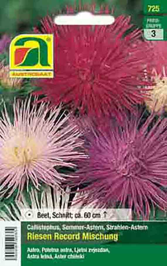 Saatgut-Vorderseite: Verpackung mit 'Riesen Record Mischung' Callistephus (Sommer-Astern), farbige strahlenförmige Pompon-Blüten in Rosa, Pink und Weiß, Wuchshöhe ca. 60 cm