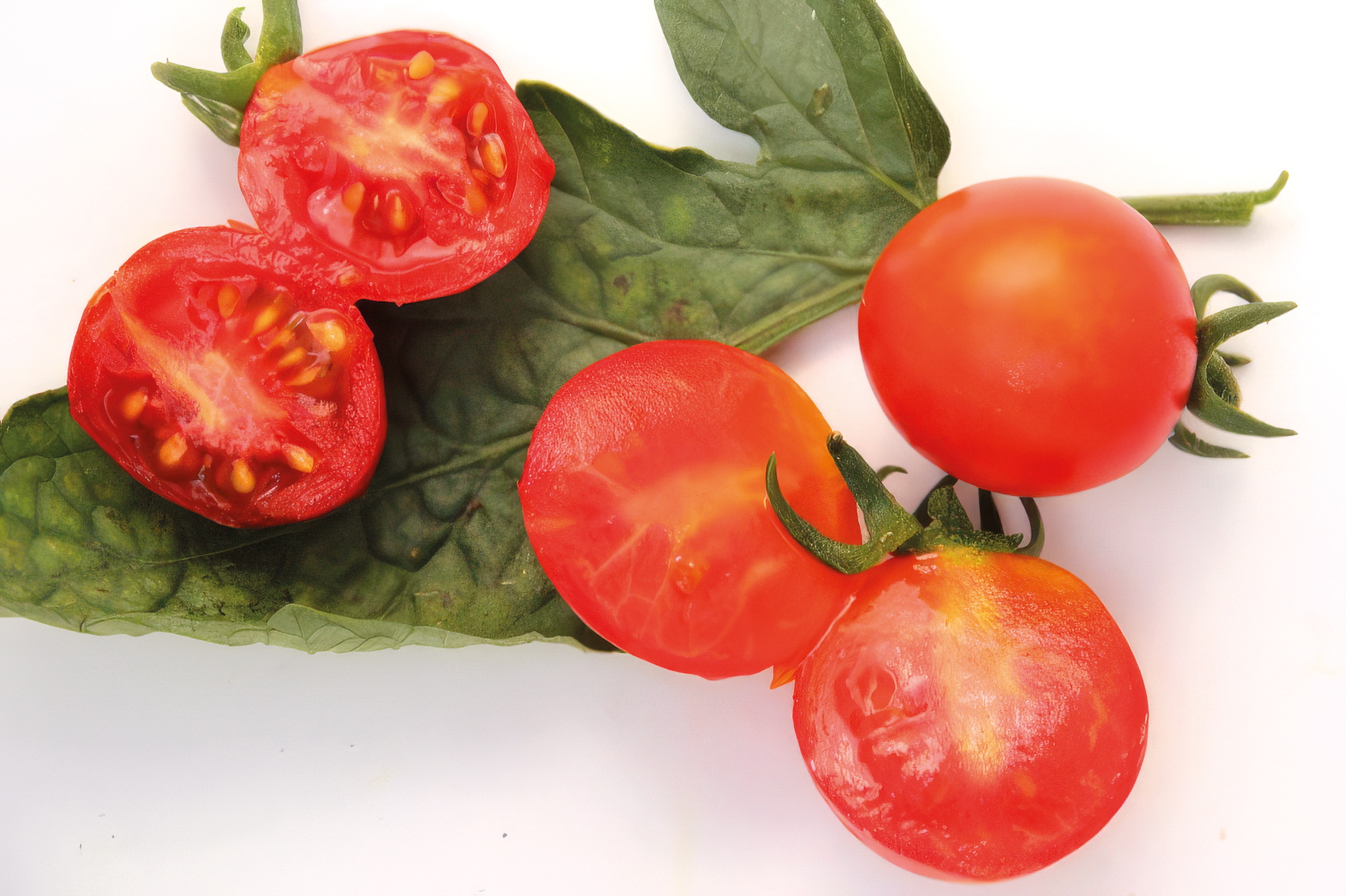 Cocktailtomate Mexikanische Honigtomate
