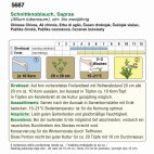 Produktbild eines Schriftmusterblocks: Blatt mit Schriftproben, Größenangaben und technischen Spezifikationen
