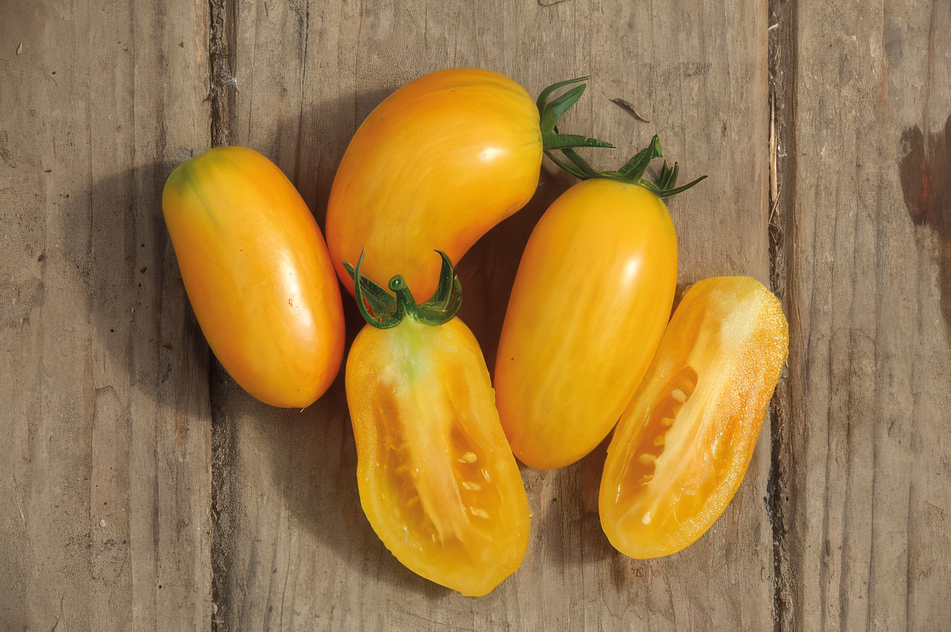 Cocktailtomate Artisan Blush Tiger