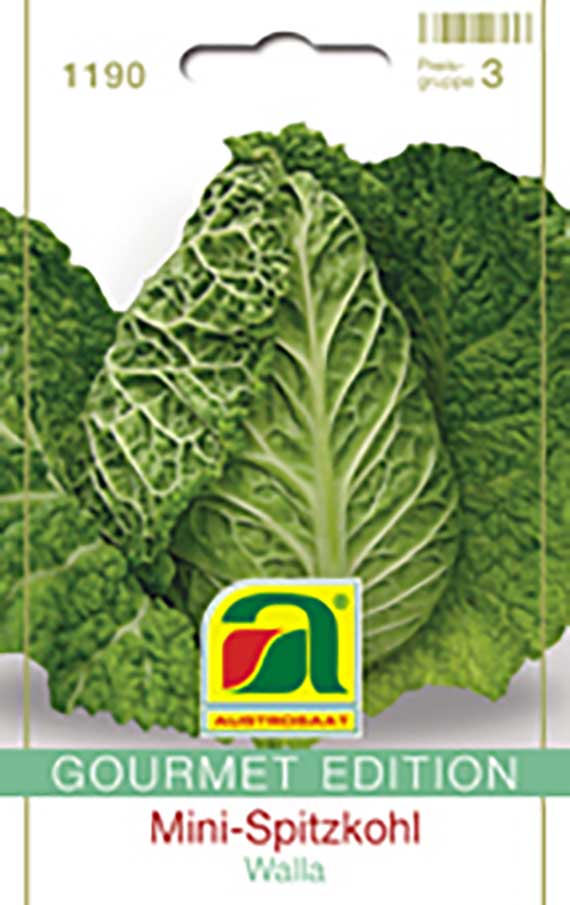 Saatgut-Packung Mini-Spitzkohl 'Walla' (Gourmet Edition) mit großem Bild grüner, gekrauster Kohlblätter