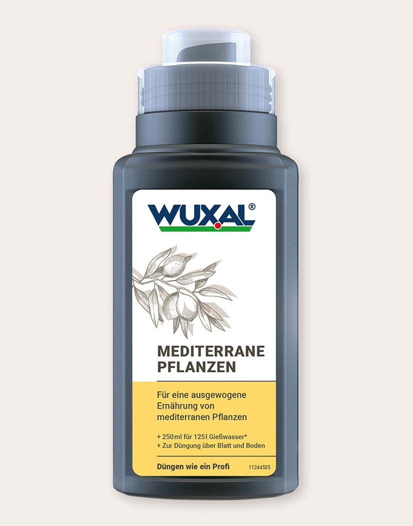 Frontansicht: WUXAL Flüssigdünger 'Mediterrane Pflanzen' in Flasche mit Dosierkappe, Etikett mit Pflanzenillustration und Anwendungshinweis