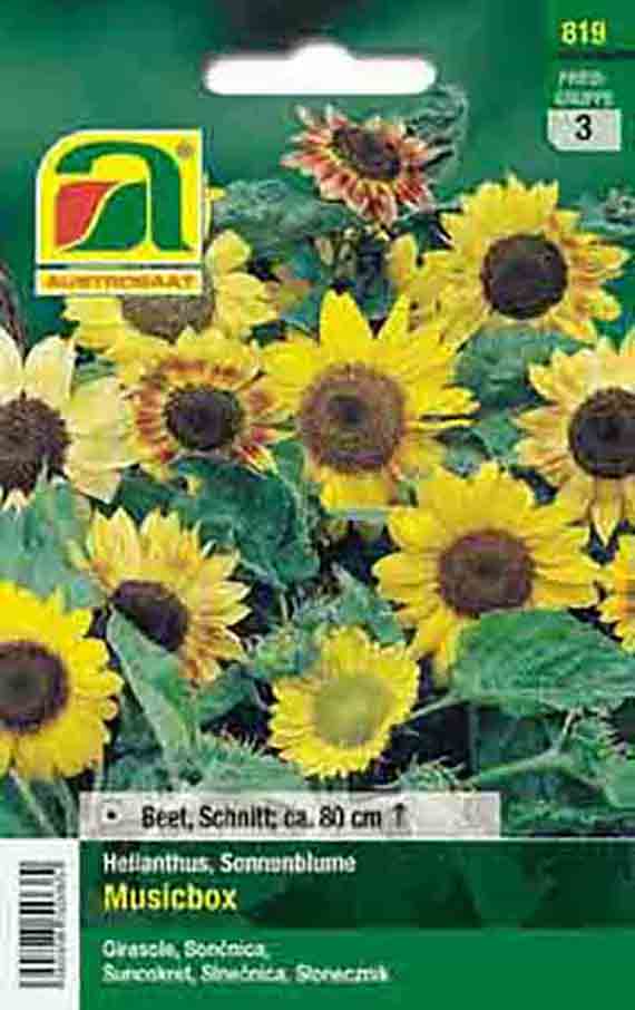 Saatgutverpackung mit gelben Sonnenblumen der Sorte Musicbox, Beet- und Schnittsorte, Wuchshöhe ca. 80 cm