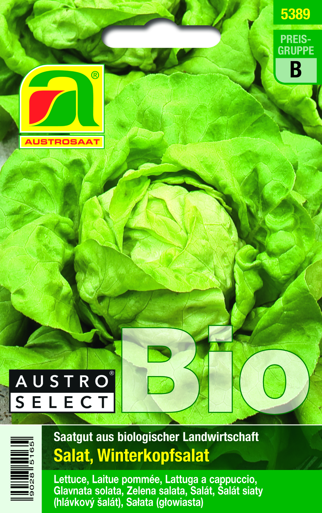 Verpackung: Austroselect BIO Winterkopfsalat Saatgut von Austrosaat; Nahaufnahme eines grünen Kopfsalats