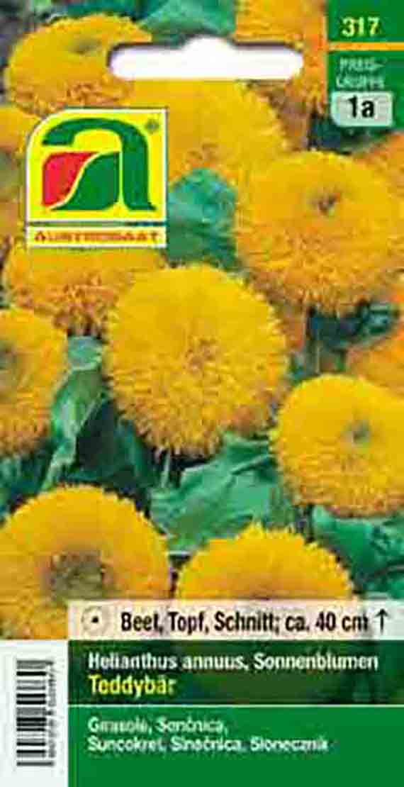 Sonnenblumen Teddybär