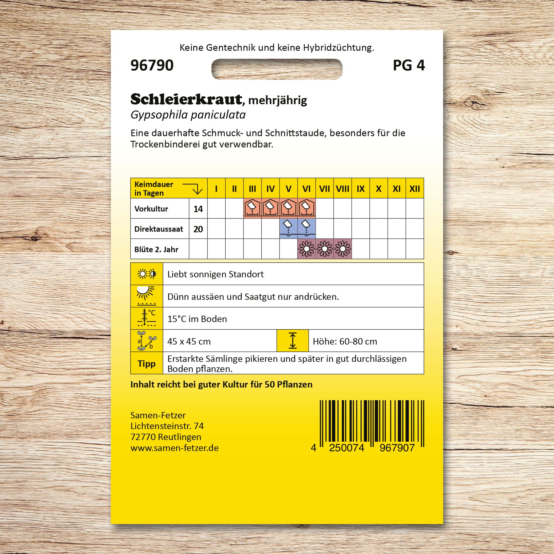 Rückseite der Samenpackung Schleierkraut gefüllt, mehrjährig von Samen-Fetzer mit Aussaat- und Pflegehinweisen, ideal für Trockenbinderei und als dauerhafte Schnittstaude