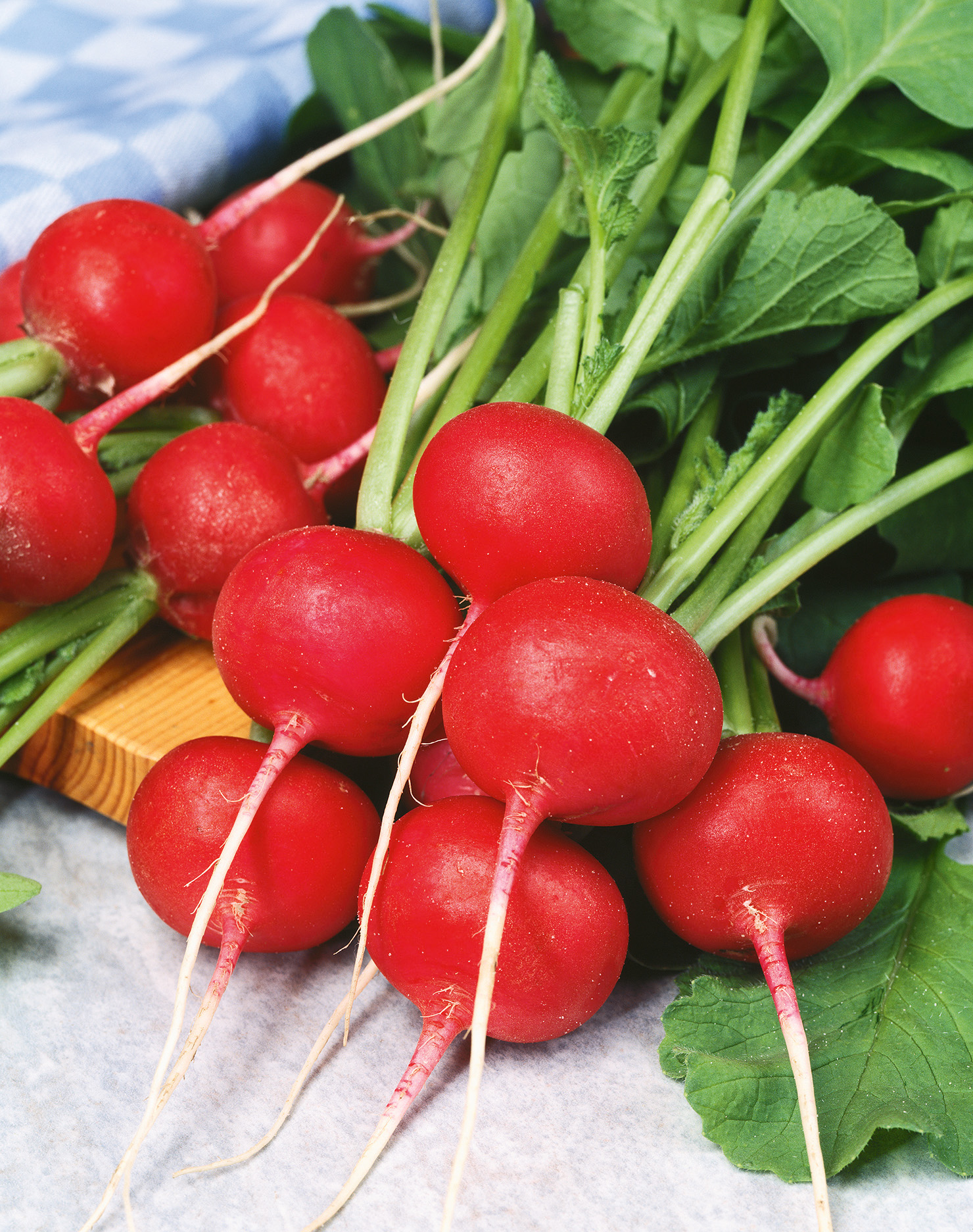 Frische, karminrote und runde Radieschen der Sorte Radies Parat mit grünem Laub – milde Sommersorte für Freiland und Herbstanbau von Samen-Fetzer.