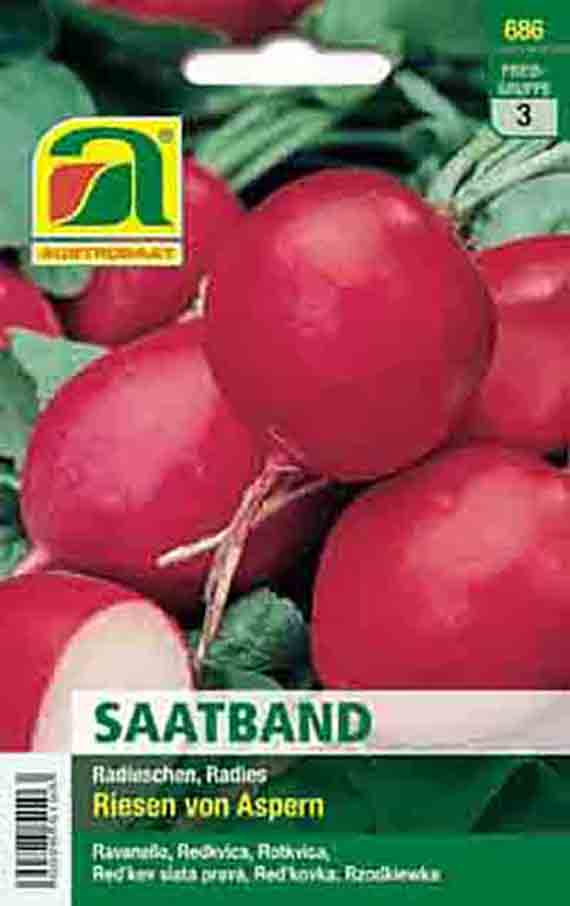 Produktbild Saatband Radies Riesen von Aspern mit großen roten Radieschen; pikante, großknollige Lokalsorte für Treib- und Freilandkultur, auch für den Anbau unter Vlies geeignet