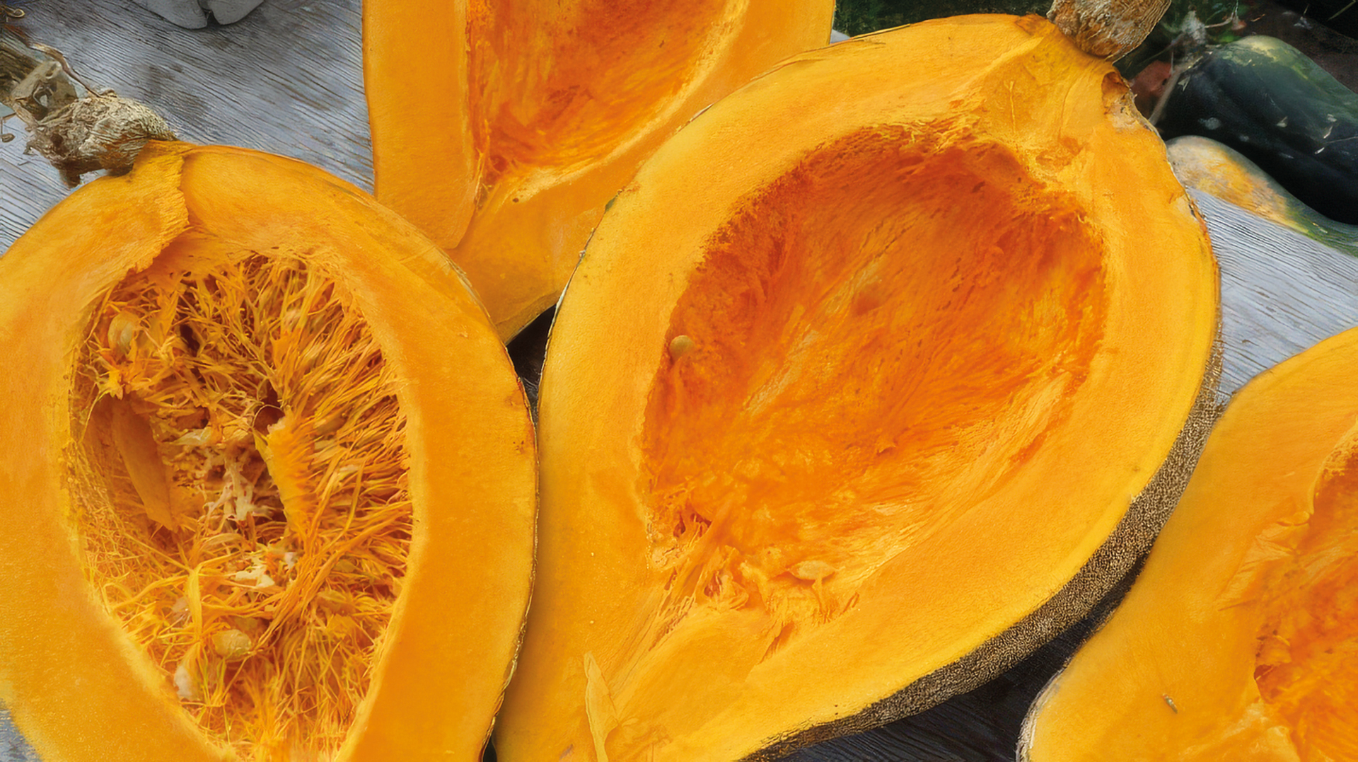 Kürbis Sweet Fall