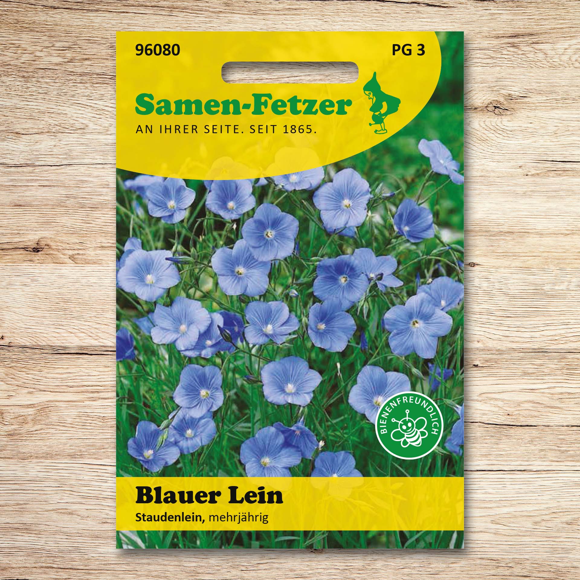 Blauer Lein Staudenlein