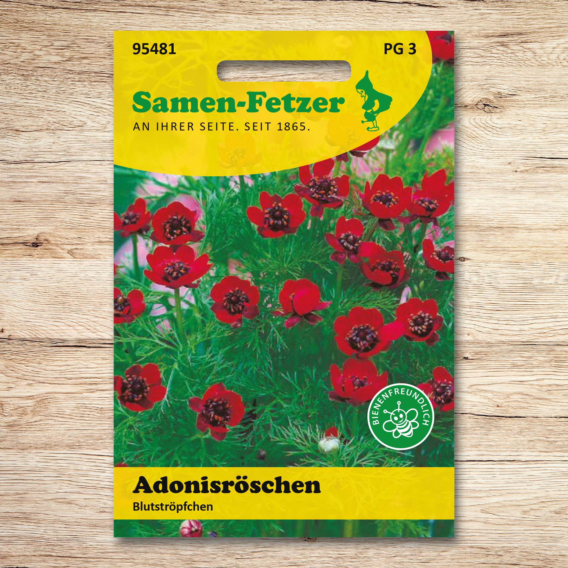 Adonisröschen Blutströpfchen