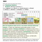 Nahaufnahme einer Samenpackung mit deutschem Aussaatkalender, detaillierten Pflanzhinweisen, Saatstufen, Temperatur- und Erntezeiträumen sowie Tabellen und Diagrammen zur Anzucht