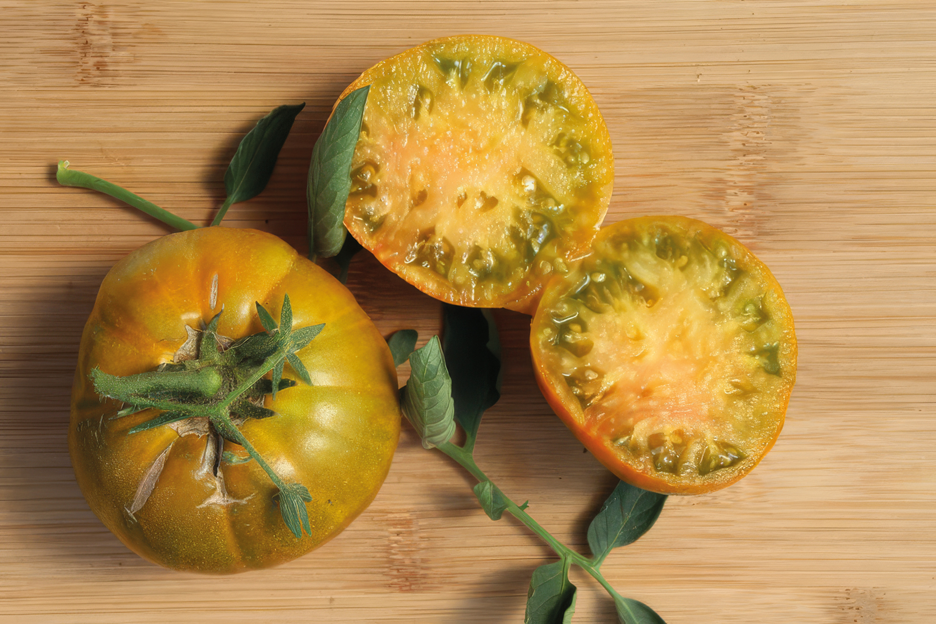 Fleischtomate Malachitgrün Schatulle