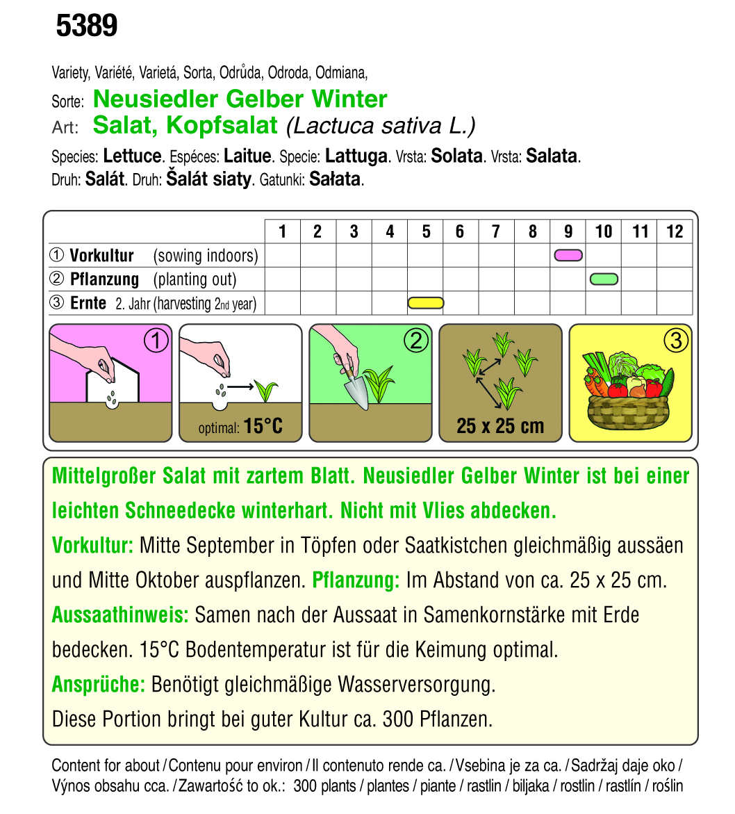 Saatgut-Etikett für Kopfsalat 'Neusiedler Gelber Winter' mit Aussaat- und Pflanzzeiten, Pflanzabstand 25 x 25 cm, optimale Keimtemperatur 15°C; Erntehinweis; winterhart bei leichter Schneedecke, nicht mit Vlies abdecken.