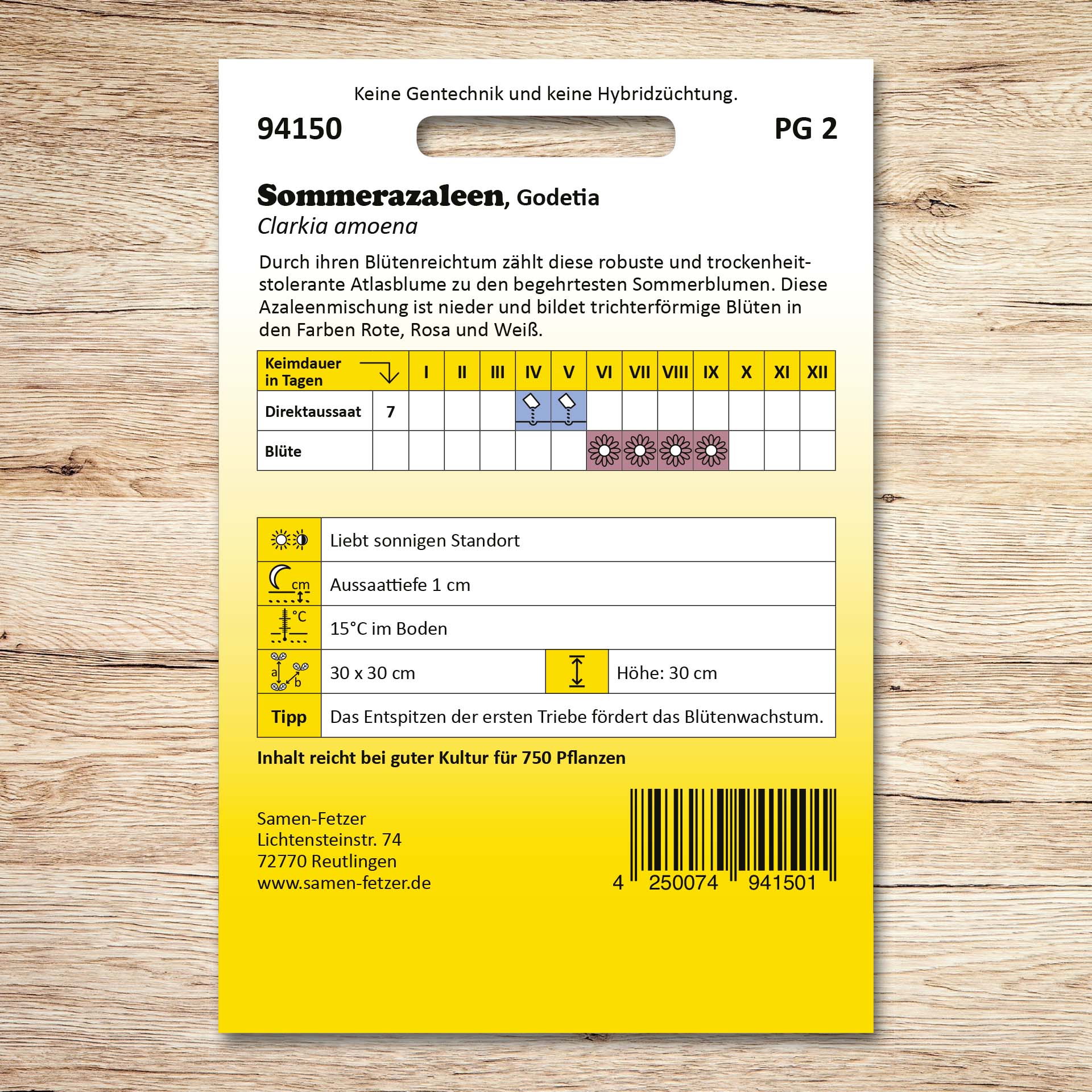 Rückseite der Samenpackung Sommerazaleen Godetia mit Aussaatkalender und Pflegehinweisen für robuste, niedrig wachsende Sommerblumen mit trichterförmigen Blüten in verschiedenen Rosatönen.