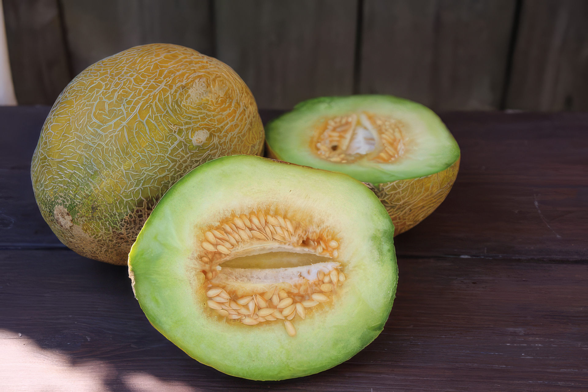 Zuckermelone Zuckerkugel
