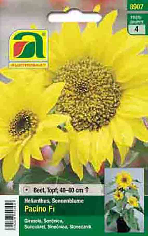 Samenpackung Sonnenblume Pacino F1 (Helianthus) mit großen gelben Blütenmotiv, empfohlene Pflanzhöhe 40–80 cm, Verpackung mit grünem Markenlogo