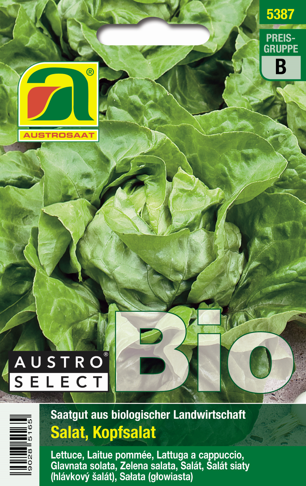 Kopfsalat (Bio) Kagranaer Sommer 2