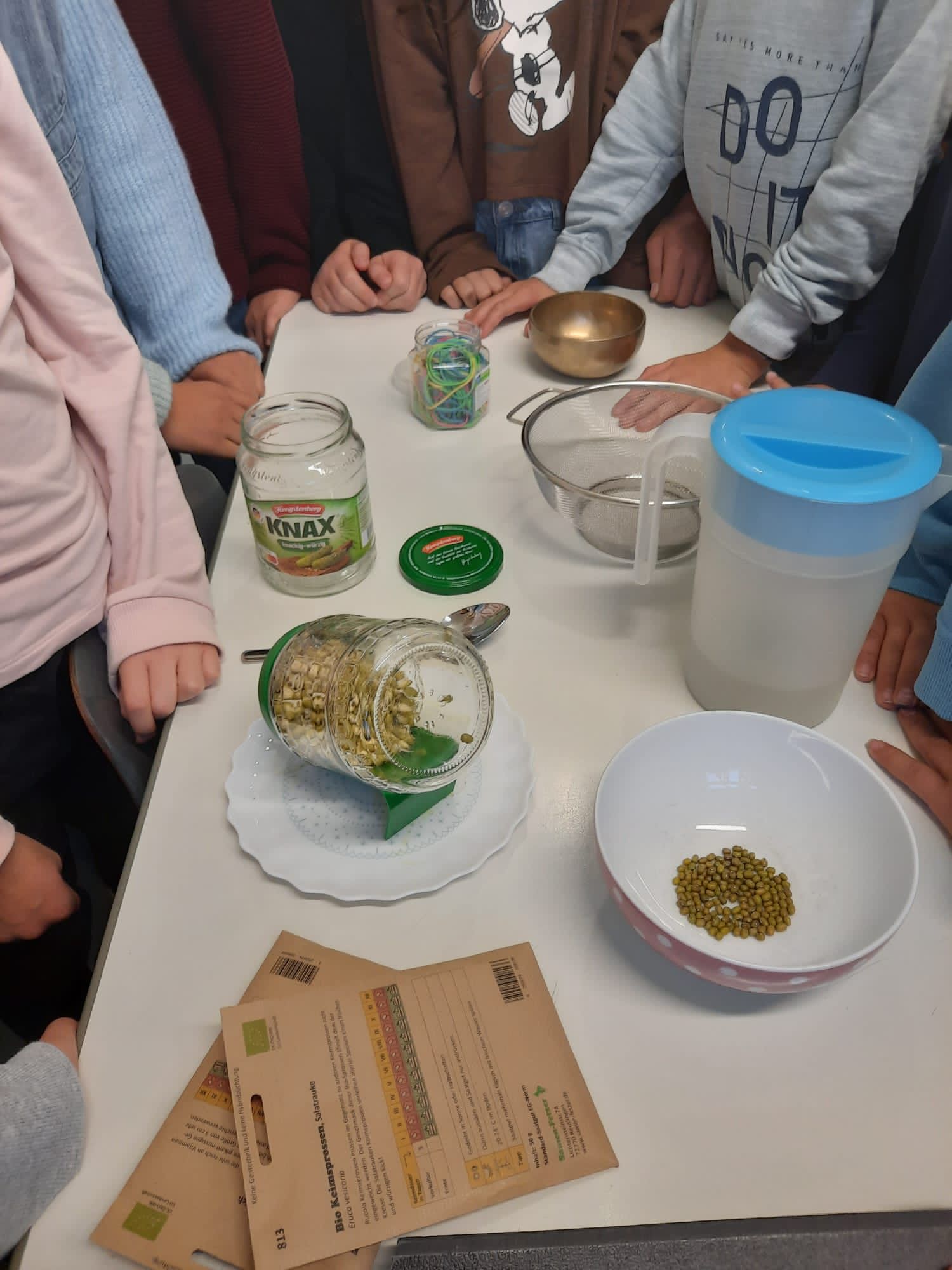 Schüler bei der Keimung von Saatgut mit verschiedenen Materialien und Utensilien.