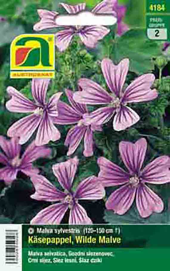 Wilde Malve Käsepappel