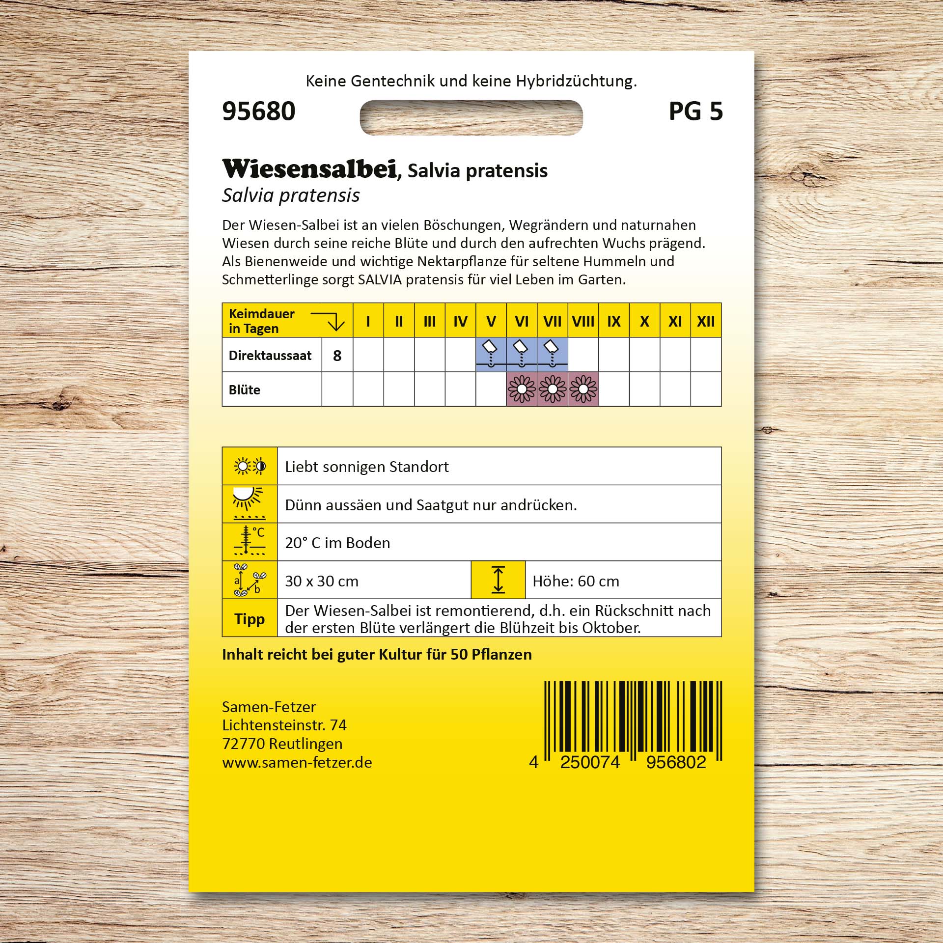 Rückseite der Samen-Fetzer Saatgutpackung für Wiesensalbei (Salvia pratensis) mit Aussaat- und Blühinfos; bienenfreundliche Nektarpflanze für naturnahe Wiesen und den Garten.